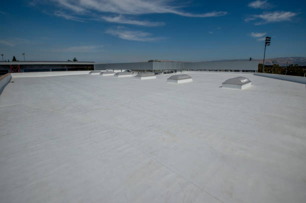 Best Roof Coating and Sealing  in Siesta Acres, TX
