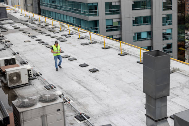 Best Storm Damage Roof Repair  in Siesta Acres, TX