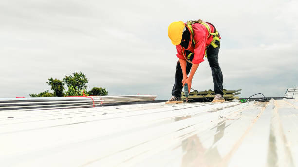 Best Roof Moss and Algae Removal  in Siesta Acres, TX