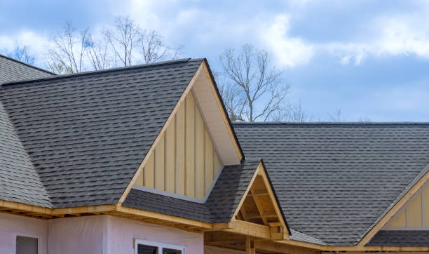 Best Roof Ventilation Installation  in Siesta Acres, TX