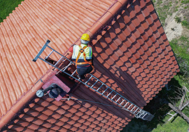 Best Roof Insulation Installation  in Siesta Acres, TX