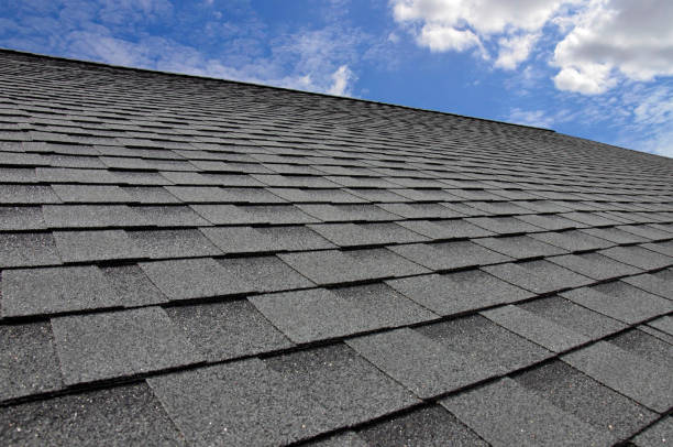 Best Gutter Installation and Repair  in Siesta Acres, TX