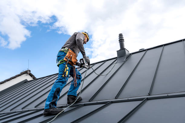 Best Roof Moss and Algae Removal  in Siesta Acres, TX
